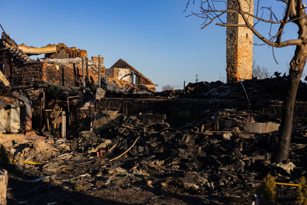 Reliable Fire Damage Removal contractor in Black Diamond, WA by Fire Damage Flint